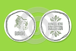 Ayurvedic Herb - Product Label with Guduchi photo
