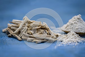 Ayurvedic herb satavari,Asparagus racemosus with its powder and root.