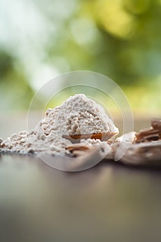 Ayurvedic herb Satavari with its powder on wooden surface.