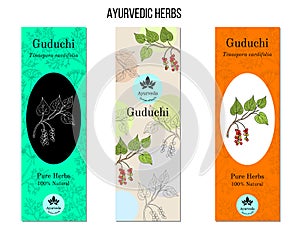 Ayurvedic herbs banners. Guduchi Tinospora cordifolia photo