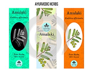 Ayurvedic herbs banners, Indian gooseberry, amla