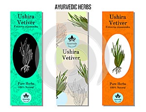 Ayurvedic herbs banners. Vetiver chrysopogon zizanioides , aromatic and medicinal plant photo
