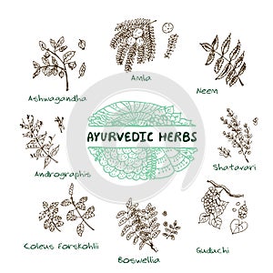 Ayurvedic herbs collection