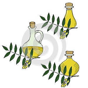 Ayurvedic herbs neem with oil bottles, jug