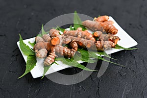 Ayurvedic medicine turmeric and Neem leaf Kerala