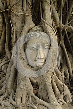 Ayuttaya Thailand photo