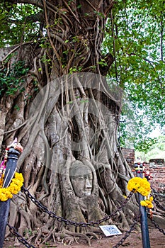 Ayutthaya Ancient Historical Park