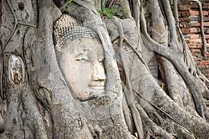 Ayutthaya Buddha Head in Tree Roots, Buddhist temple Wat Mahathat in Thailand