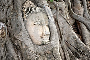 Ayutthaya Buddha Head in Tree Roots, Buddhist temple Wat Mahathat in Thailand