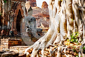 Ayutthaya historical park, Thailand