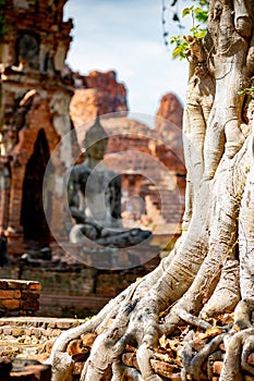 Ayutthaya historical park, Thailand