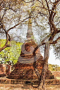 Ayutthaya temple