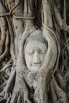 Ayutthaya temple
