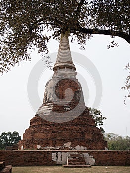 Ayutthaya temple ruins, Wat Maha That Ayutthaya as a world heritage site, Thailand.