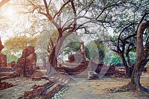 Ayutthaya, Thailand