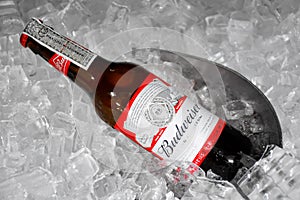 American-style Budweiser Beer Bottles