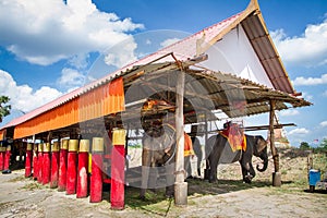 Ayutthaya, Thailand - October, 21, 2016 : The Court of elephants