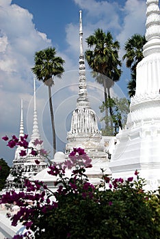 Ayutthaya, Thailand: Wat Suwandararam Chedis