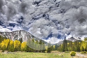 AZ-Coconino National Forest