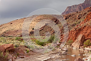 AZ-Paria Canyon-Vermillion Cliffs Wilderness