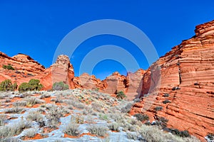 AZ-Paria Canyon-Vermillion Cliffs Wilderness-Pawhole