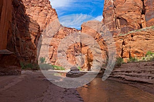 AZ-Paria Canyon-Vermillion Cliffs Wildernessss