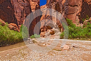 AZ-Paria Canyon-Vermillion Cliffs Wildernessss