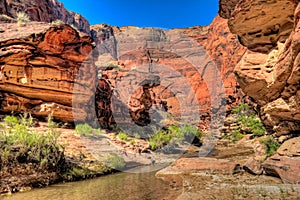 AZ- Paria Canyon Wilderness