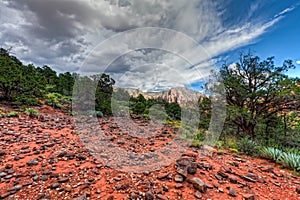 AZ-Sedona-Soldier Pass Trail.