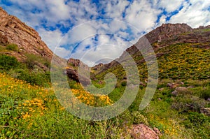 AZ-Superstition Mountan Wilderness