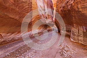 AZ-UT-Paria Canyon-Vermillion Cliffs Wilderness-Buckskin Canyon