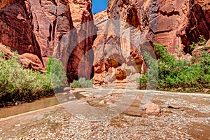 AZ-UT-Paria Canyon-Vermillion Cliffs Wilderness-Paria River Canyon