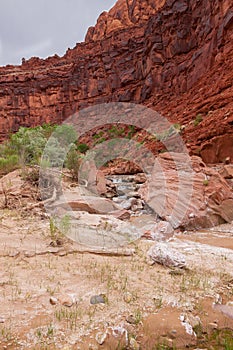 AZ-UT-Paria Canyon-Vermillion Cliffs Wilderness-Paria River Canyon