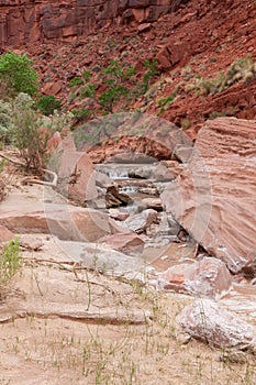 AZ-UT-Paria Canyon-Vermillion Cliffs Wilderness-Paria River Canyon