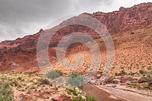 AZ-UT-Paria Canyon-Vermillion Cliffs Wilderness-Paria River Canyon