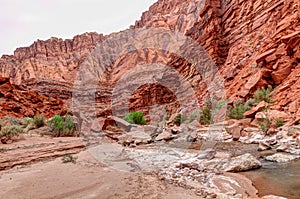 AZ-UT-Paria Canyon-Vermillion Cliffs Wilderness-Paria River Canyon