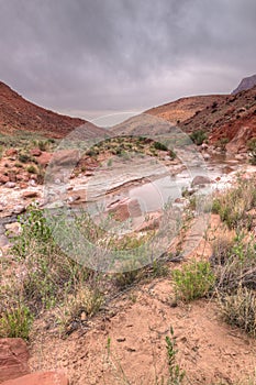 AZ-UT-Paria Canyon-Vermillion Cliffs Wilderness-Paria River Canyon