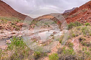 AZ-UT-Paria Canyon-Vermillion Cliffs Wilderness-Paria River Canyon