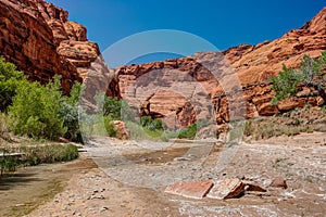 AZ-UT-Paria Canyon-Vermillion Cliffs Wilderness-Paria River Canyon