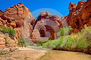 AZ-UT-Paria Canyon-Vermillion Cliffs Wilderness-Paria River Canyon