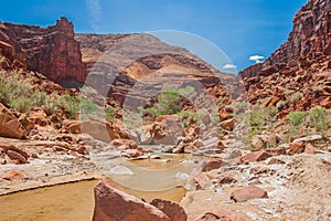 AZ-UT-Paria Canyon-Vermillion Cliffs Wilderness-Paria River Canyon