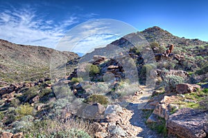 AZ-Waddell-White Tank Mountain Regional Park