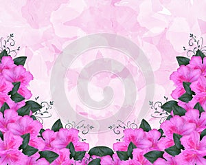 Azalea Floral Invitation Border Pink