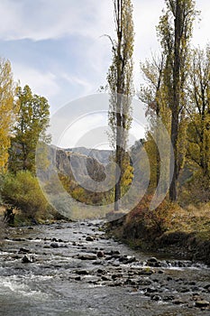 The Azat river in the canyon below Garni.