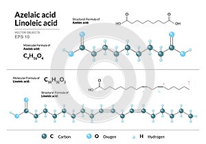 Azelaic and Linoleic acids. Dicarboxylic and Polyunsaturated Omega-6 Fatty Acid. Structural chemical formula and molecule 3d model