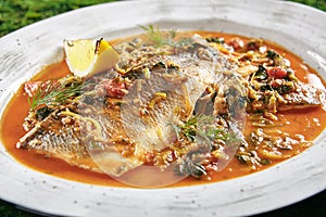 Azeri Syrdak with Sea Bass, Vegetables and Leek on Natural Moss photo