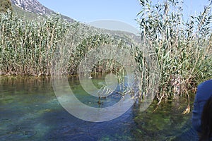 Azmak river in Akyaka district of Mugla.