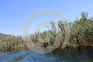 Azmak river in Akyaka district of Mugla.