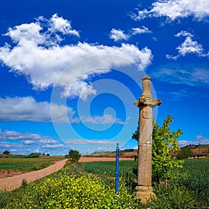 Azofra Saint James Way cross column La Rioja photo