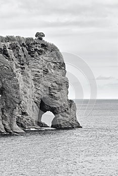 Azorean Coast 9